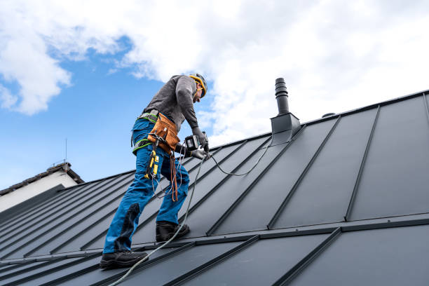 Best Roof Maintenance and Cleaning  in Muskegon Heights, MI