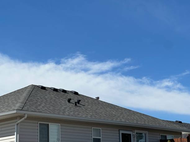 Best Asphalt Shingle Roofing  in Muskegon Heights, MI